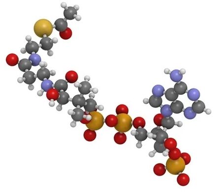 Il valore ZXCVBNMQ contiene COENZYME Q10